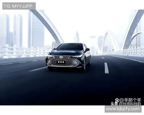 洲际杯积分榜更新杭州网球队以58分稳居榜首展现强劲实力