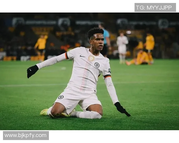 探索埃斯特旺的魅力与文化底蕴，揭开这座城市的神秘面纱