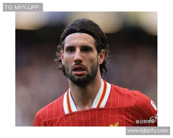 探寻索博斯洛伊的历史魅力与文化底蕴之旅