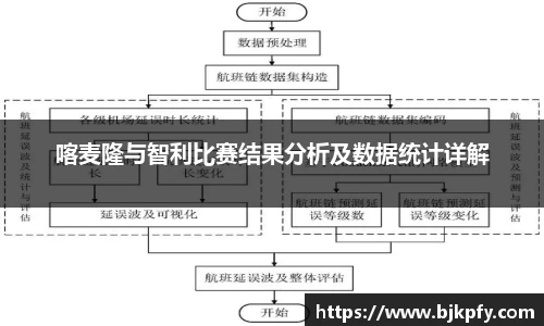 喀麦隆与智利比赛结果分析及数据统计详解